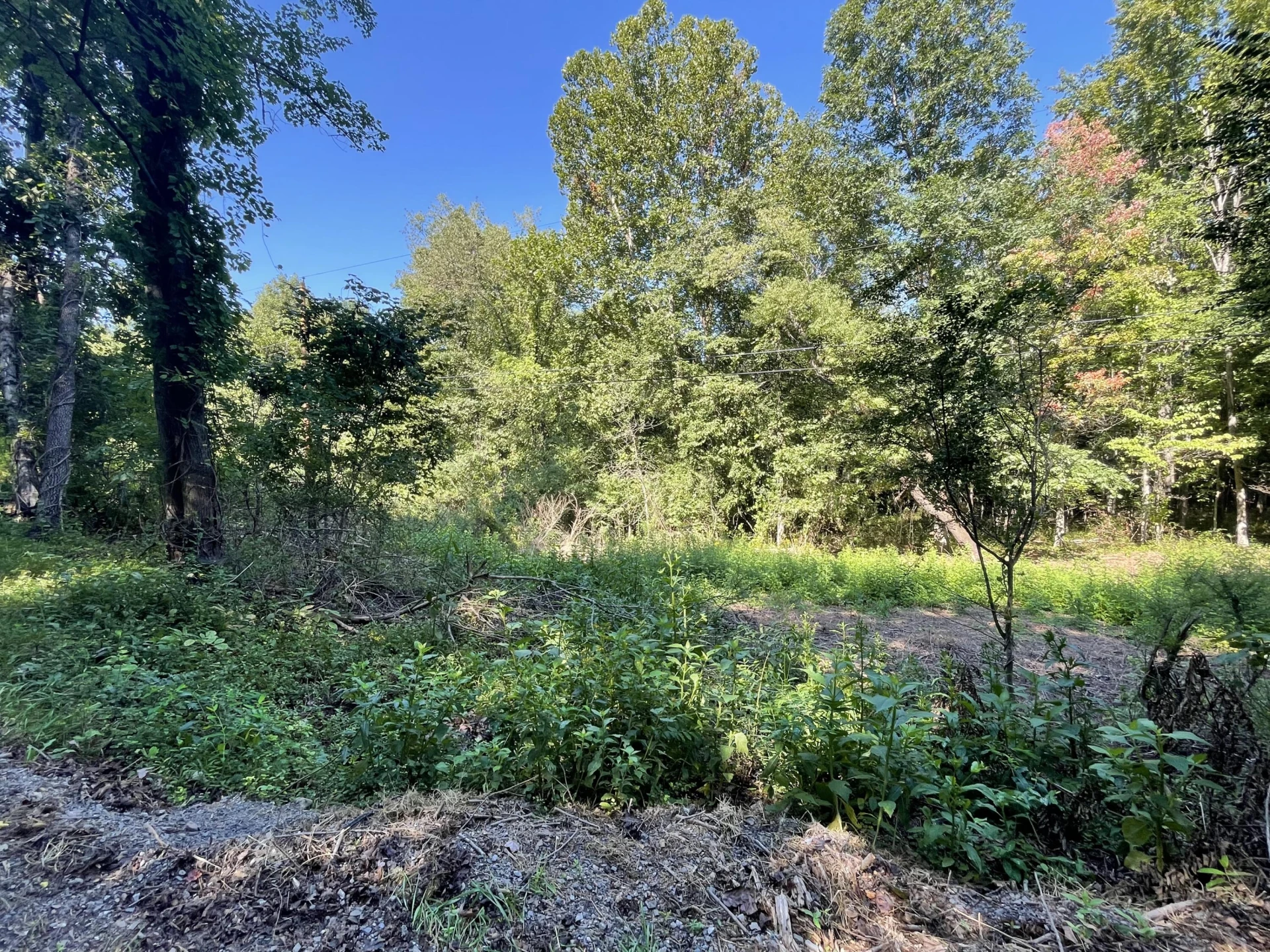 00 McDearmon RD - Photo 12