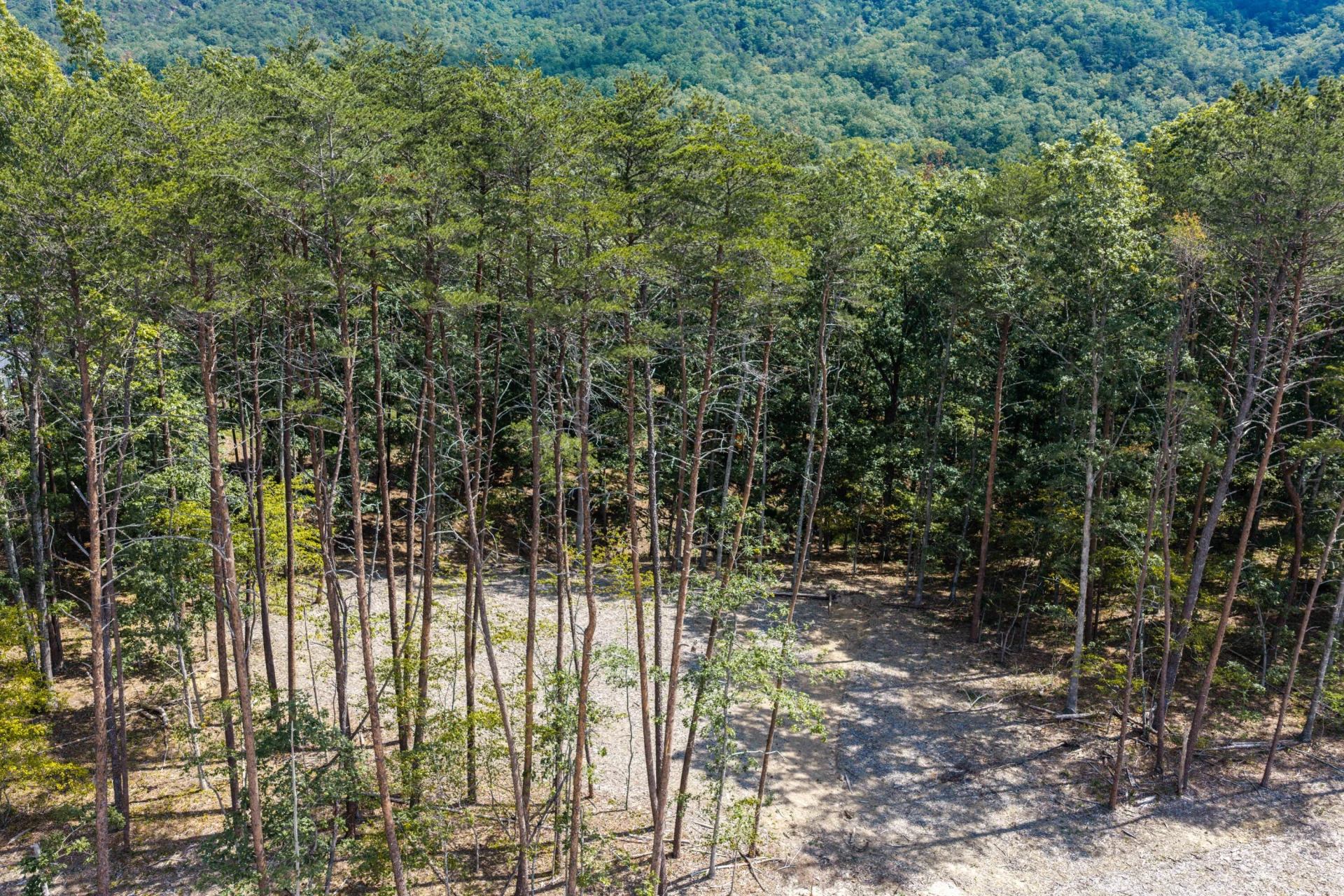 3050 New Ridge RD - Photo 4