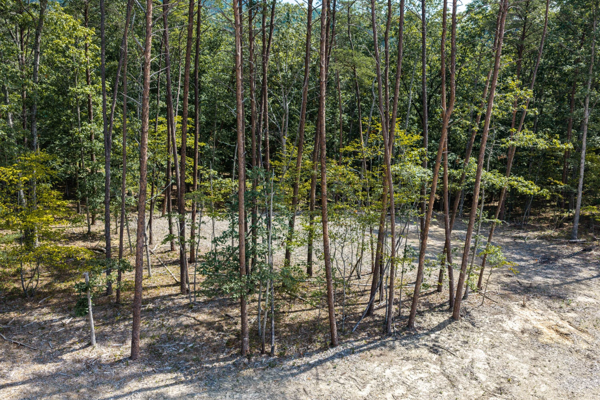 3050 New Ridge RD - Photo 6