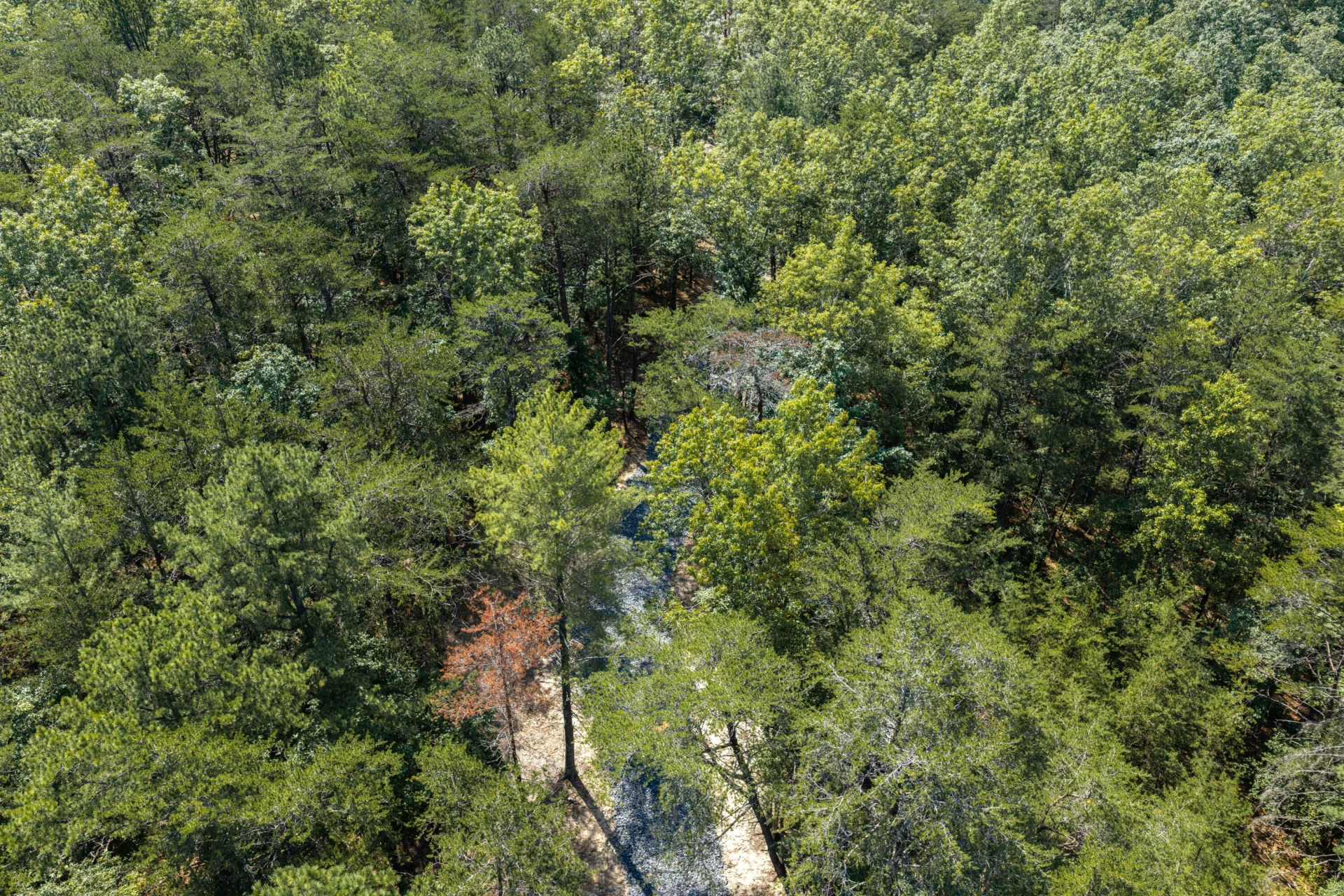 3050 New Ridge RD - Photo 30