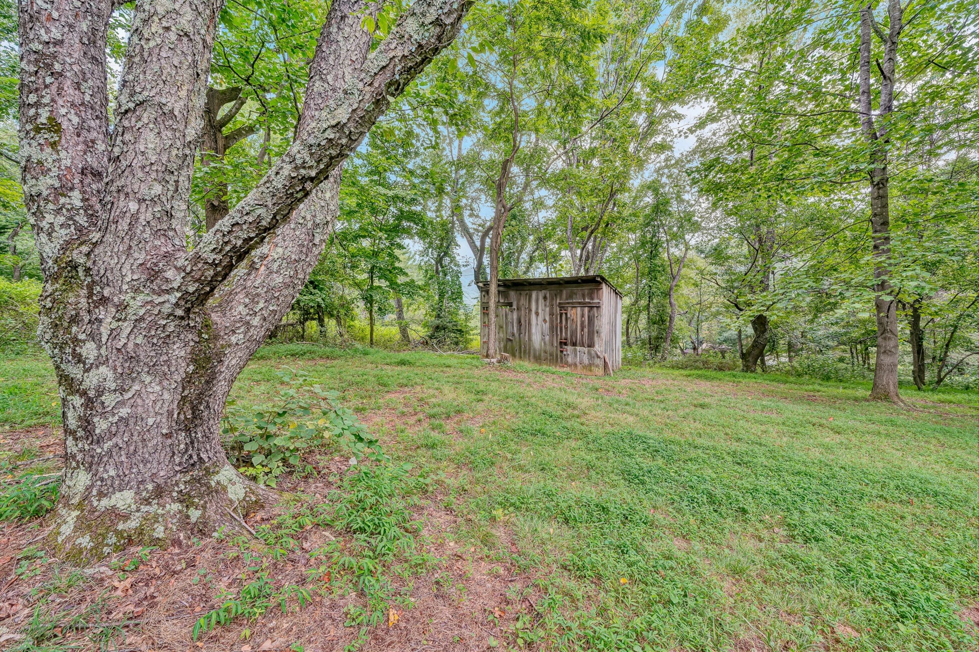 6309 Sunnyvale RD - Photo 22