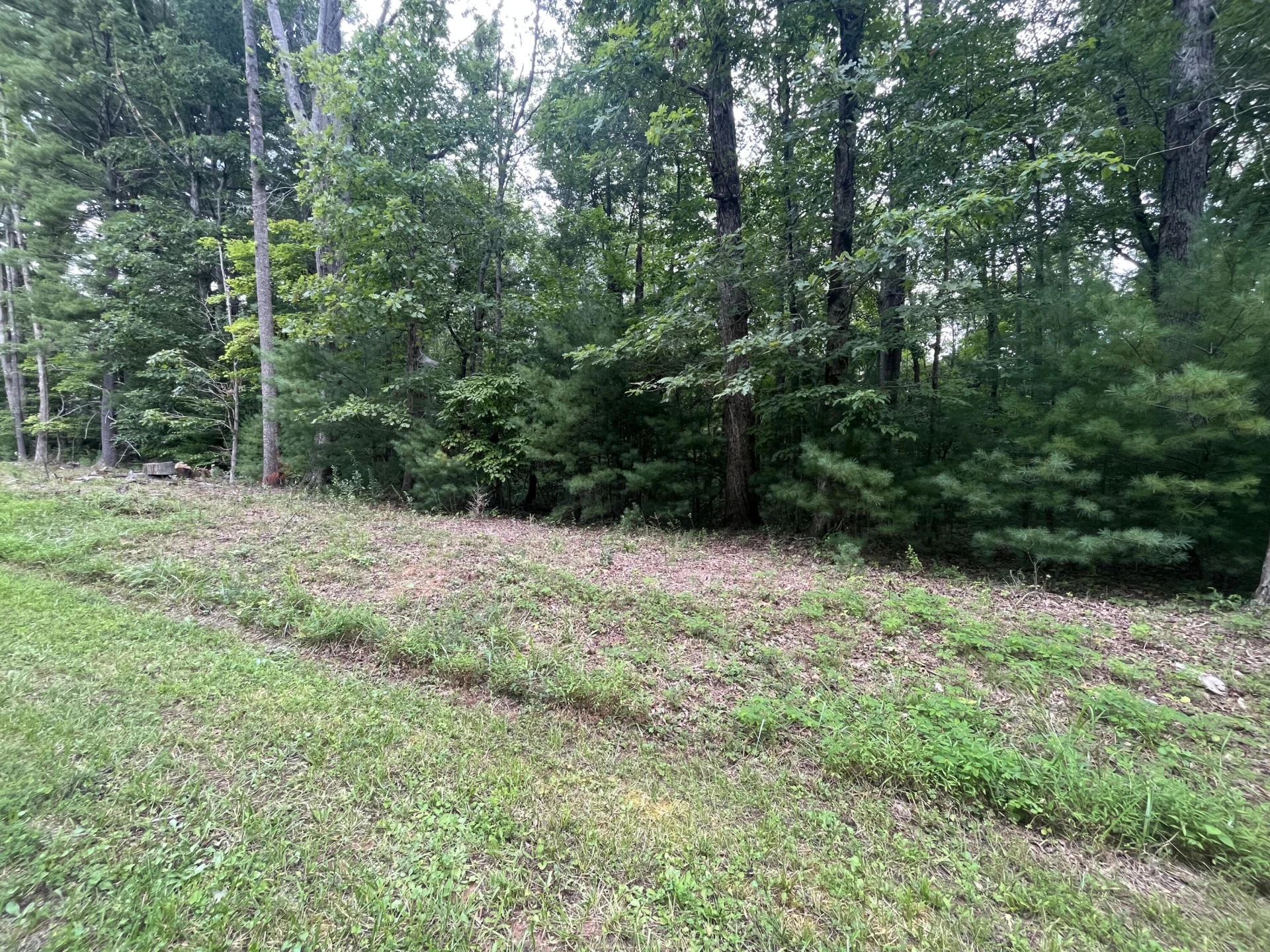 0 Storey Creek LN
