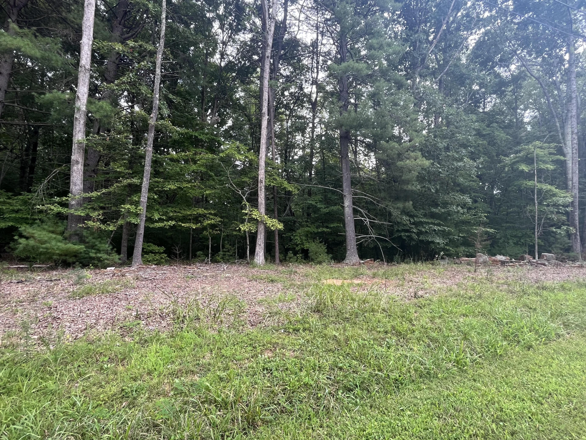 0 Storey Creek LN - Photo 3