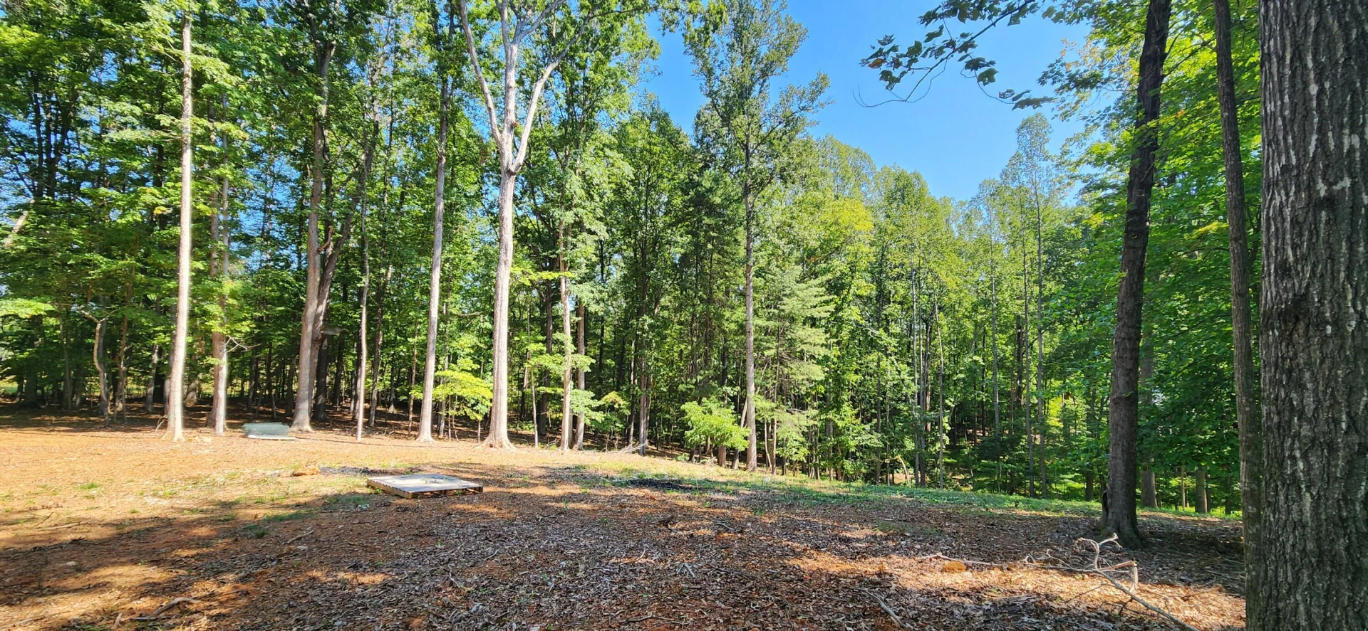 33 Key Lakewood DR - Photo 2