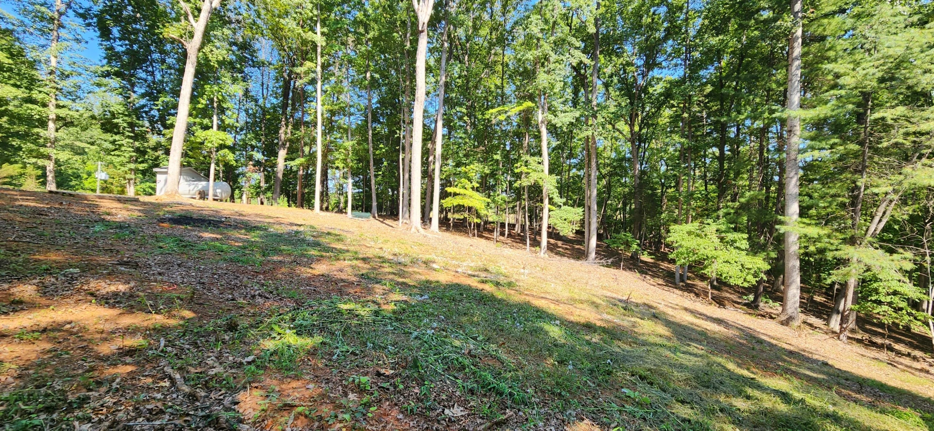 33 Key Lakewood DR - Photo 3