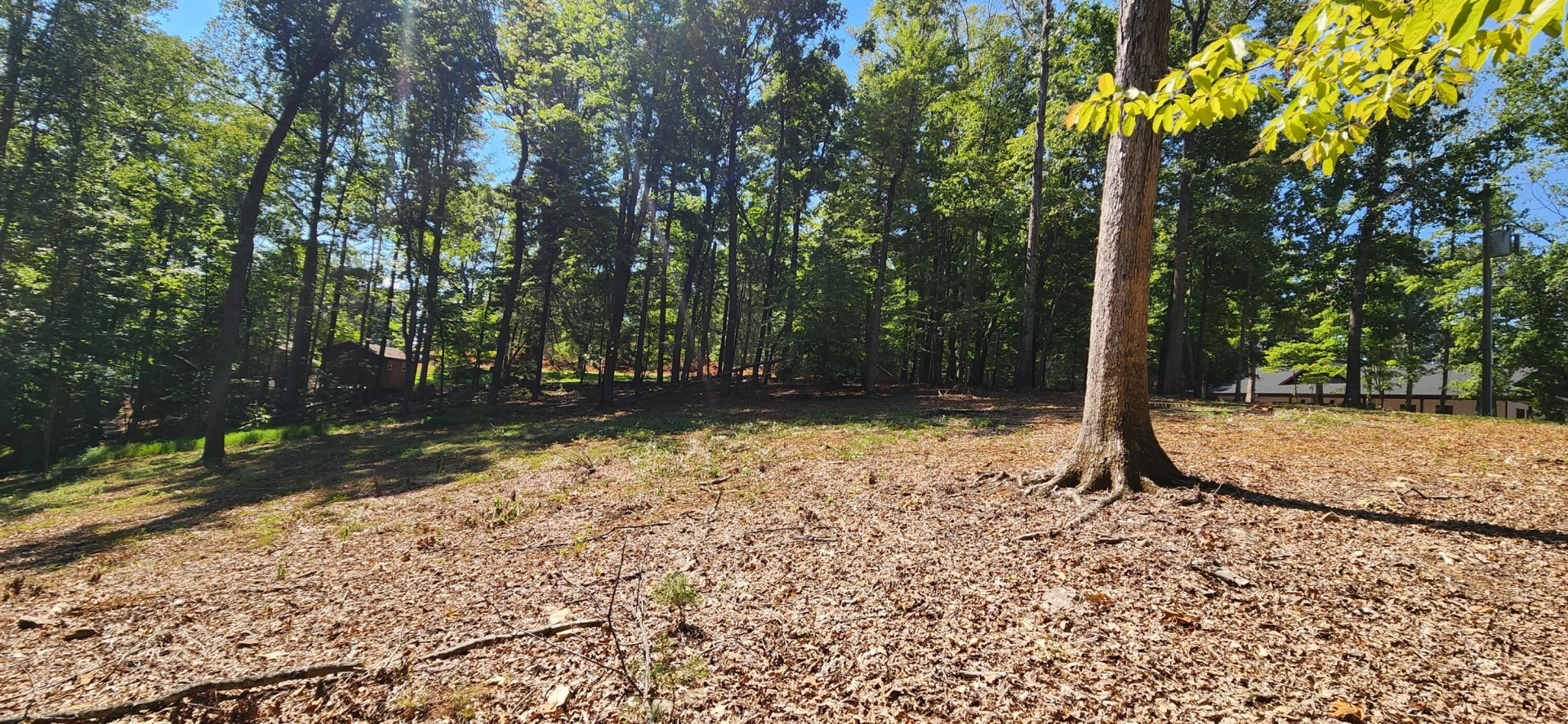 33 Key Lakewood DR - Photo 4
