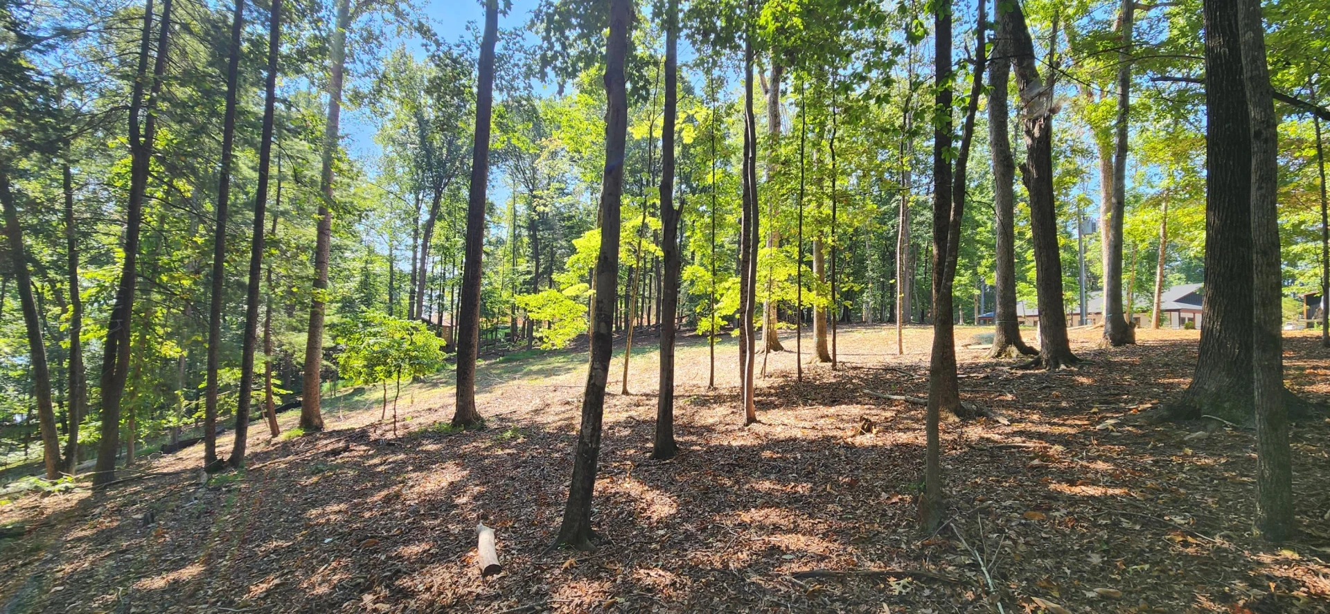 33 Key Lakewood DR - Photo 5