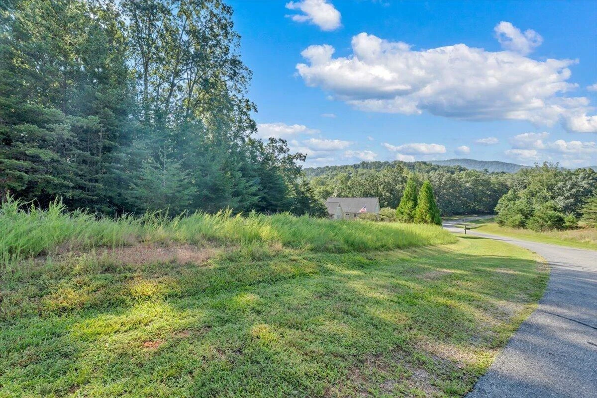 Lot 26 Palmetto Bluff RD - Photo 2