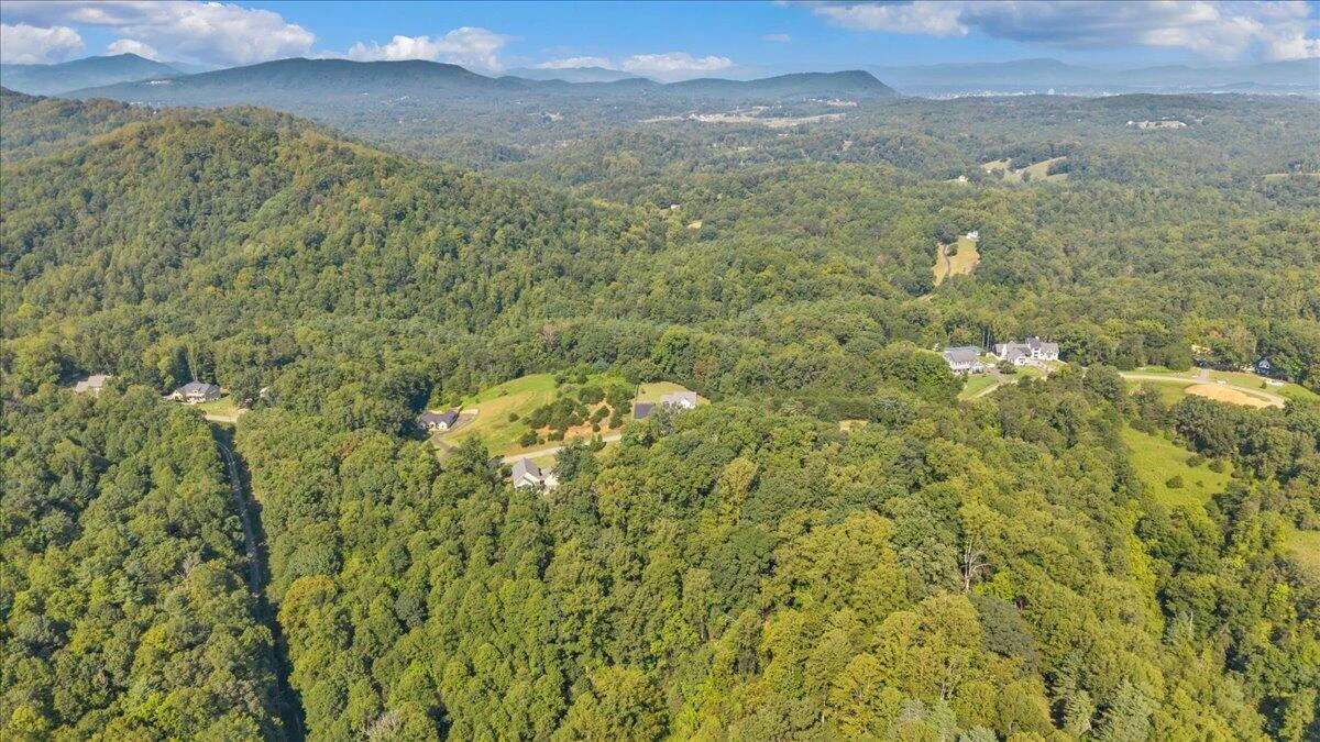 Lot 26 Palmetto Bluff RD - Photo 5