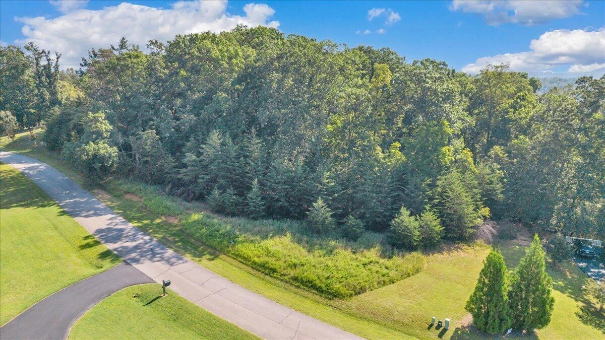 Lot 26 Palmetto Bluff RD - Photo 20