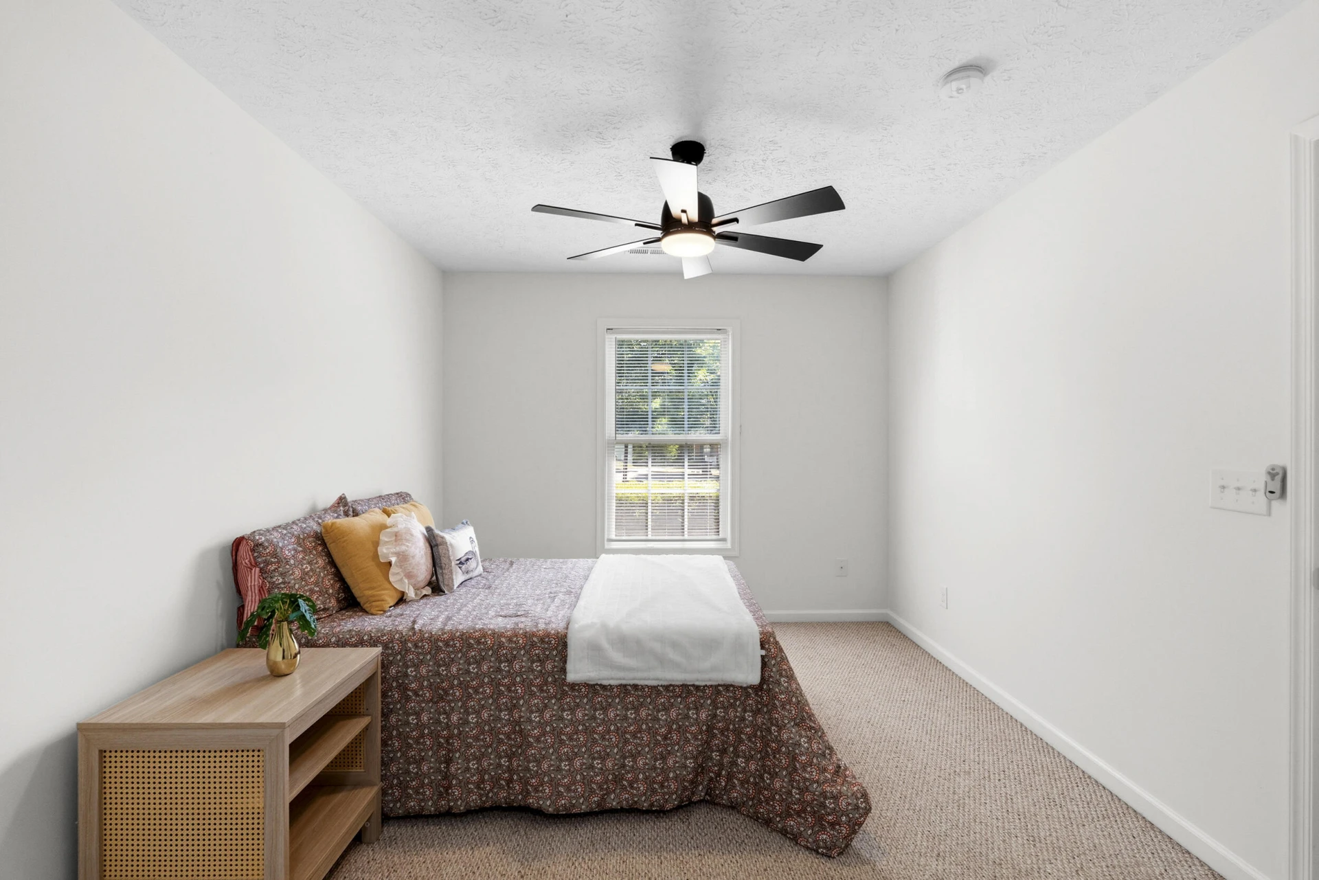 1507 Cassell LN - Photo 4