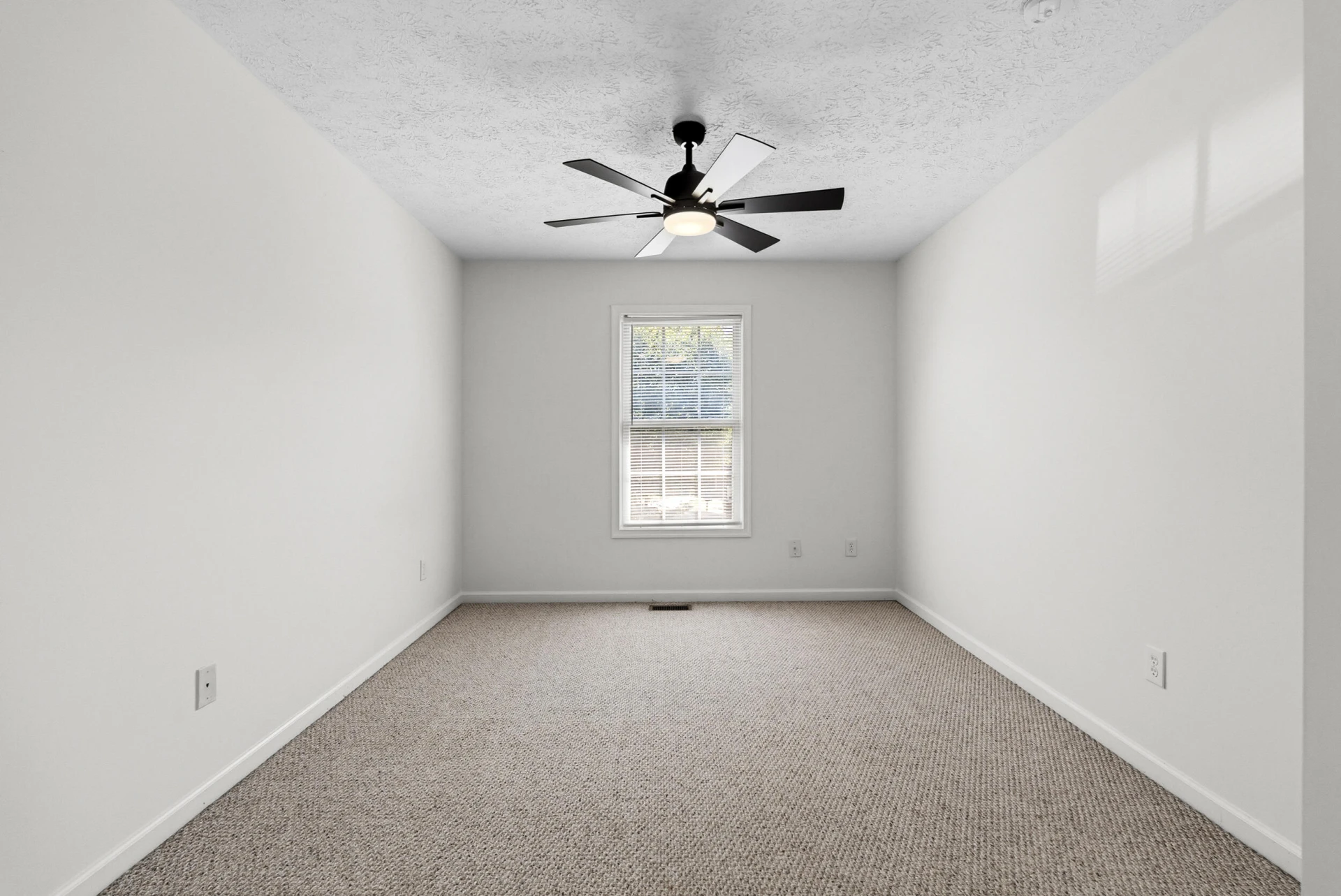 1507 Cassell LN - Photo 15