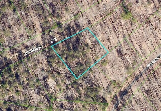 87 Chestnut DR #(Lot 42) - Photo 41