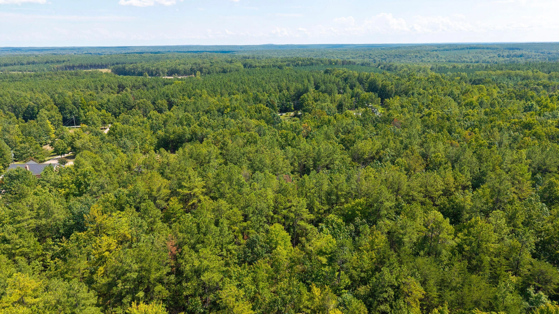 1001 Austins RD - Photo 13