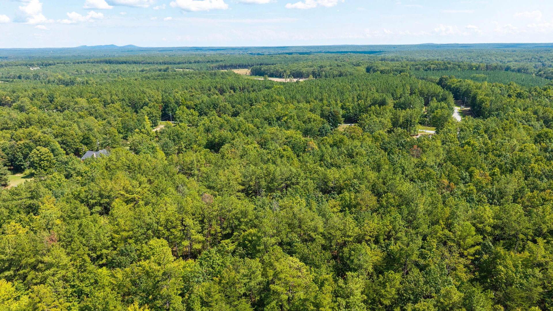 1001 Austins RD - Photo 14