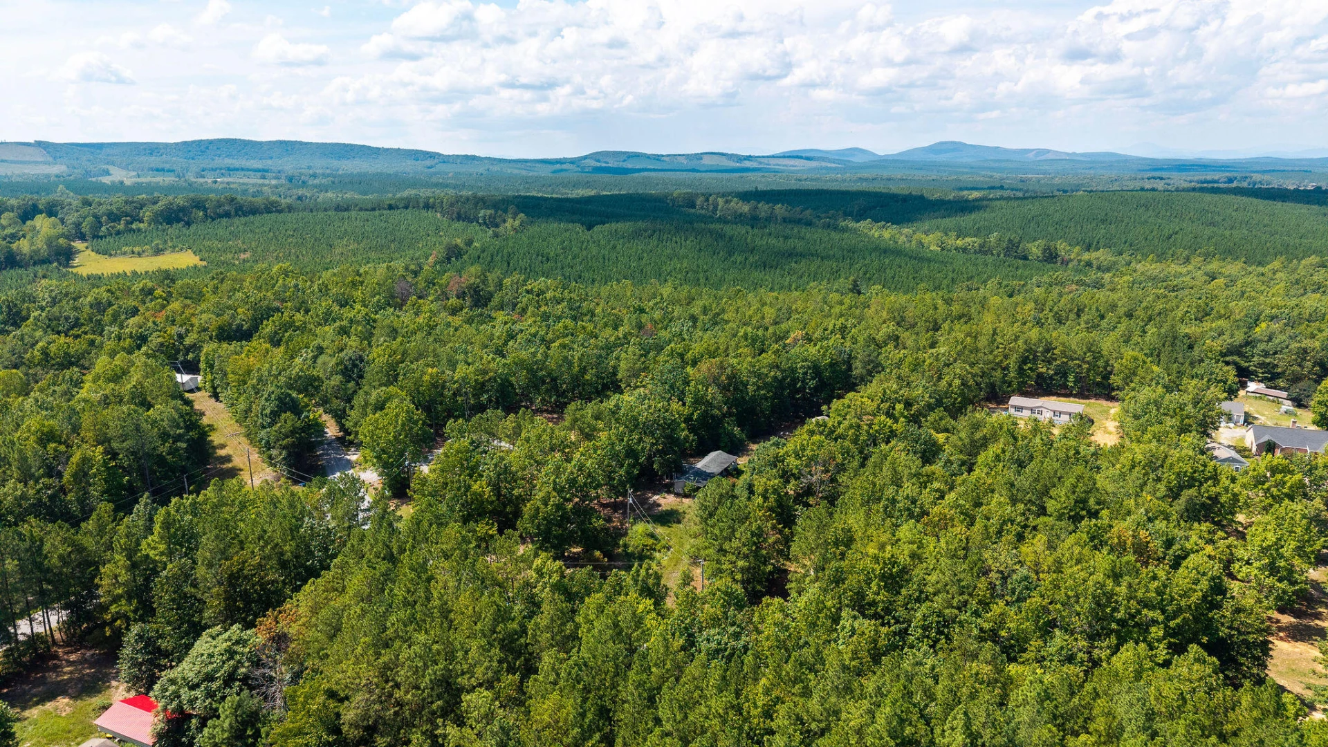 1001 Austins RD - Photo 21