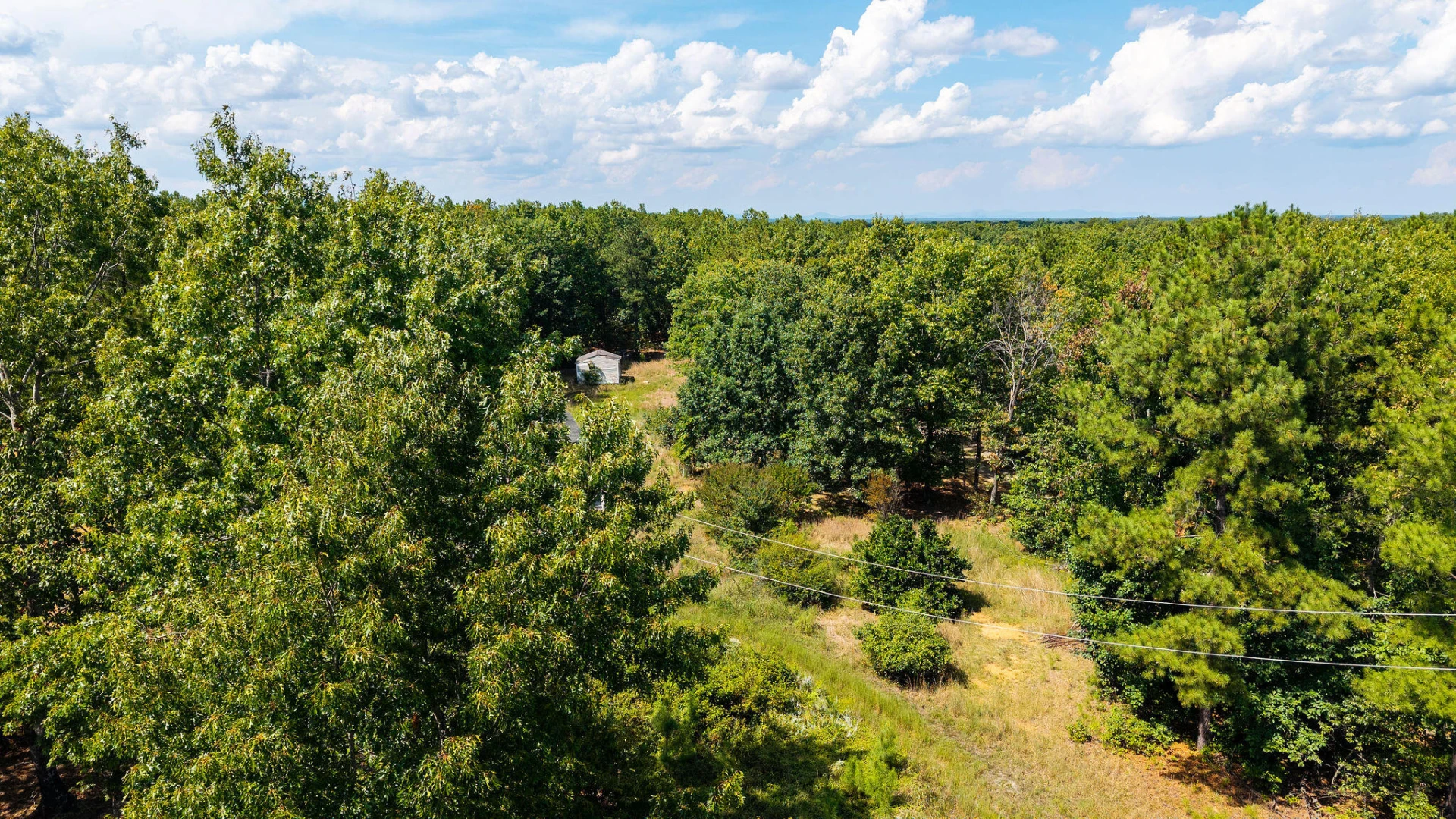 1001 Austins RD - Photo 32