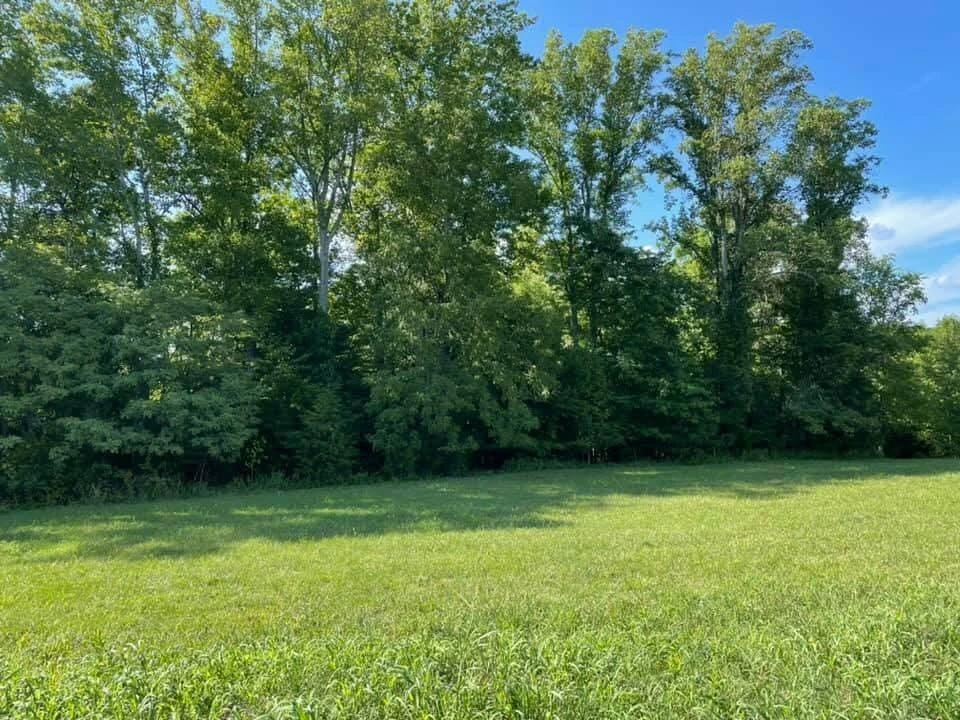 Lot 34 Revolution RD - Photo 3