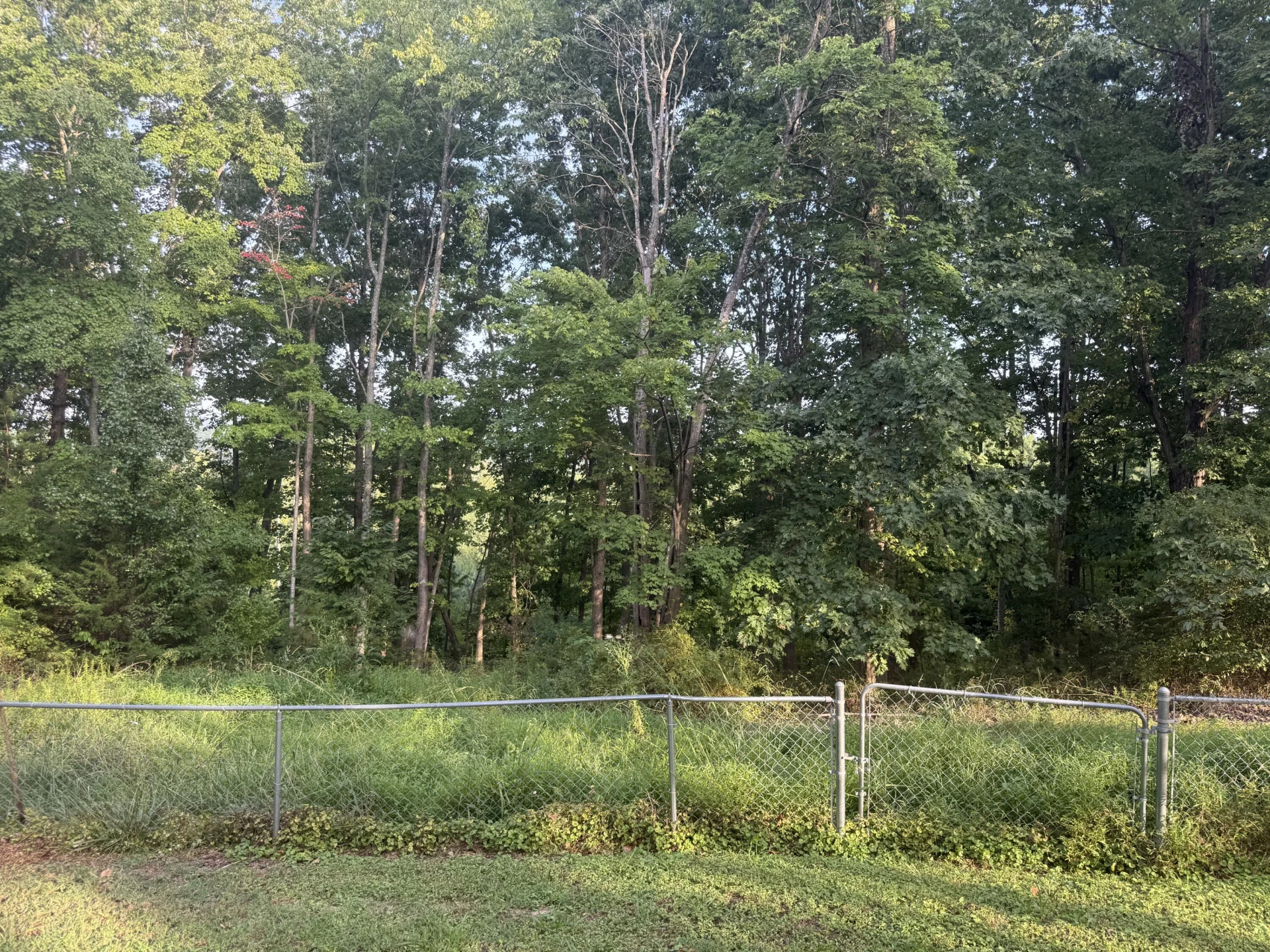 14691 Leesville RD - Photo 32
