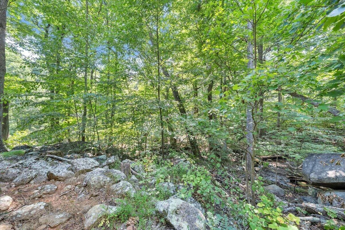 7876 Peaks RD - Photo 24