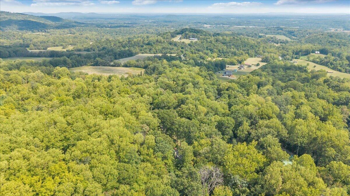 7876 Peaks RD - Photo 36