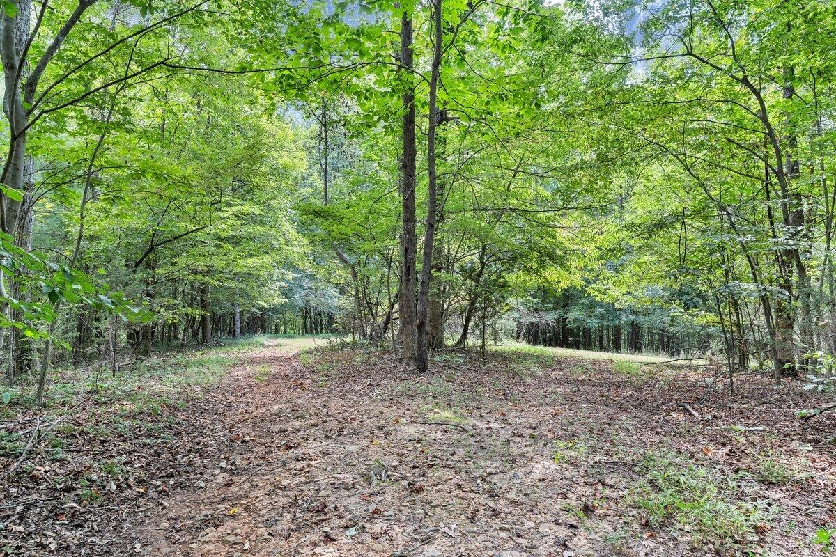 125 Whispering Breeze DR - Photo 44