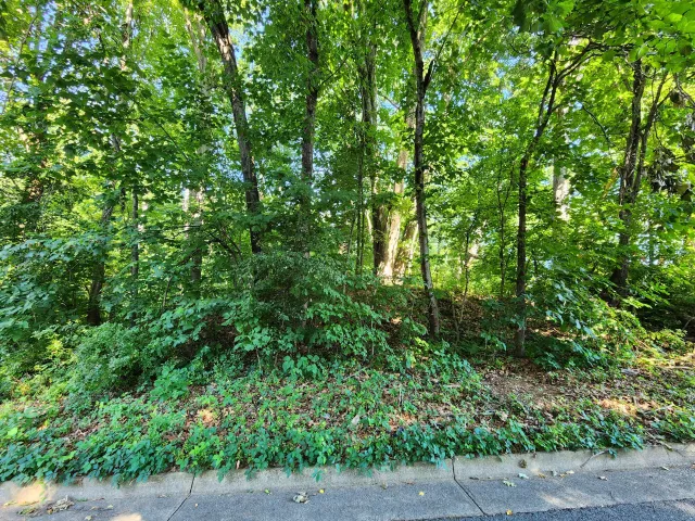 0 Laurel Ridge RD NW, Roanoke, VA, 24017
