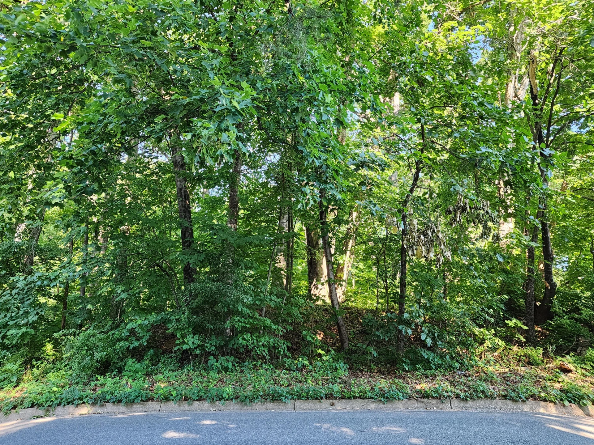 0 Laurel Ridge RD NW - Photo 3