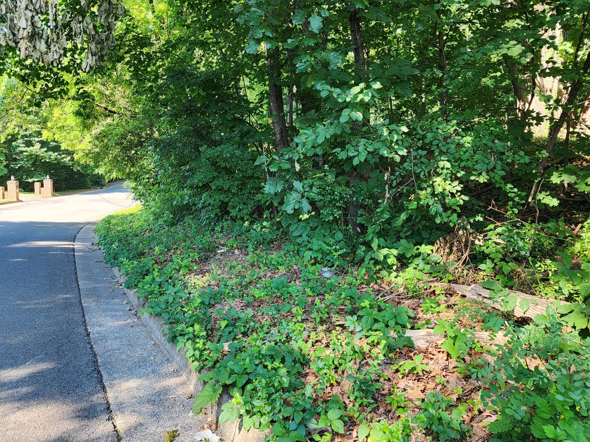 0 Laurel Ridge RD NW - Photo 4