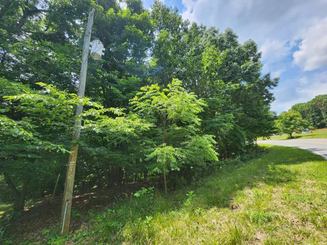 0 Diamond Hill RD, Moneta, VA, 24121