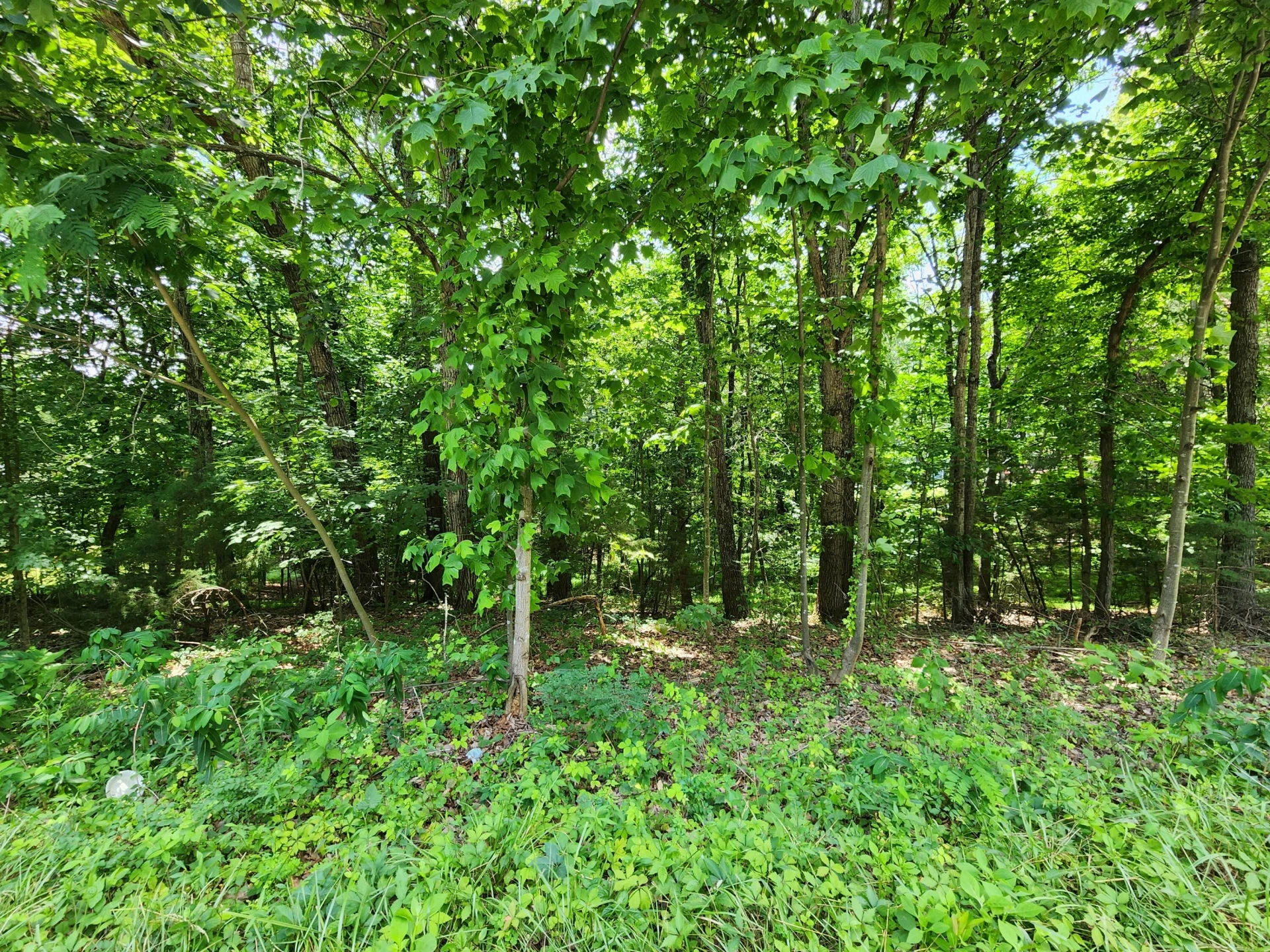 0 Diamond Hill RD - Photo 2