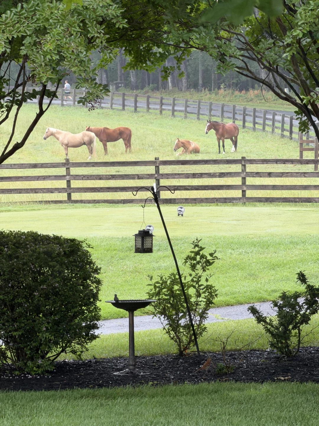 18 Flagstick CT - Photo 97