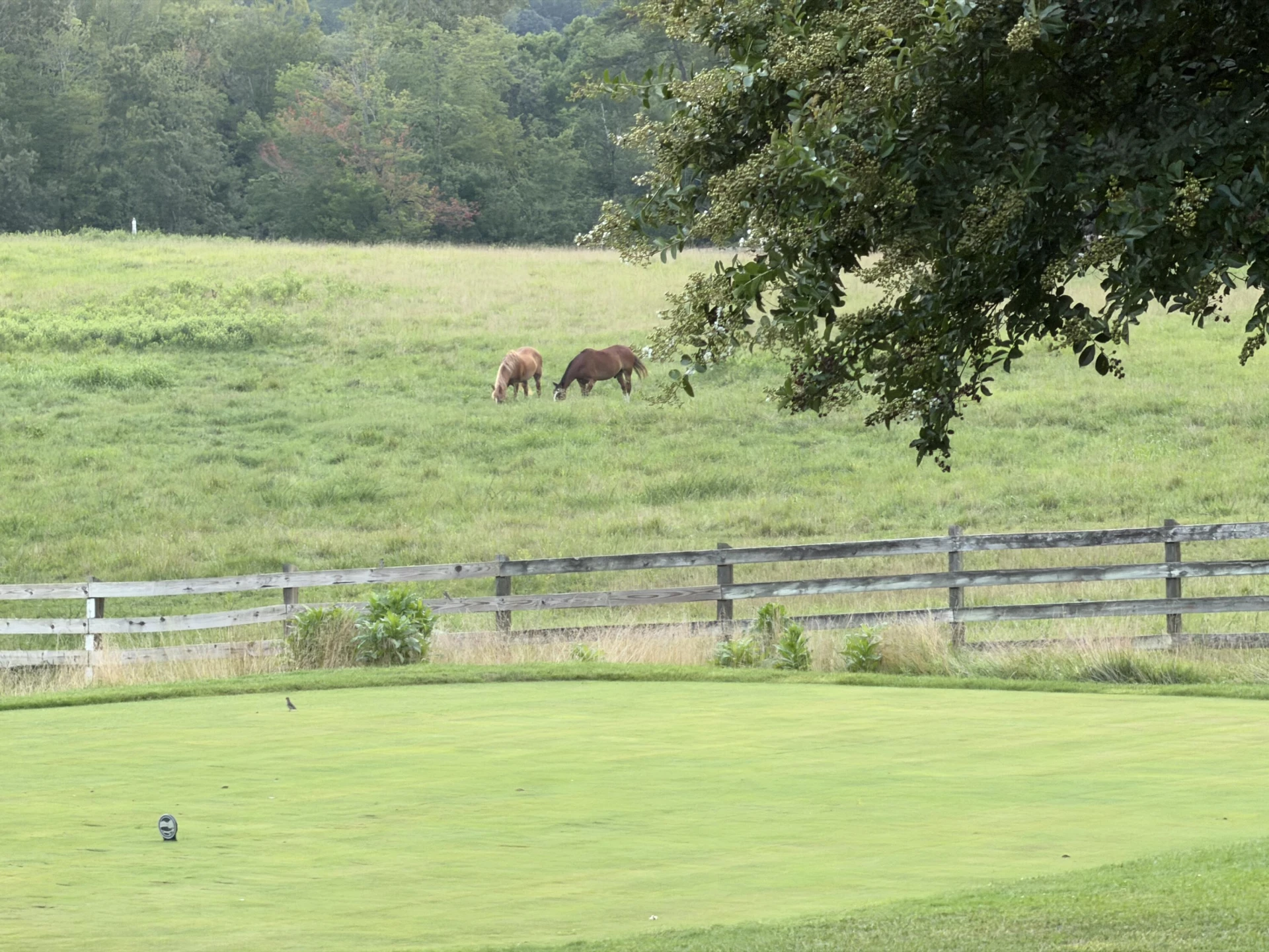 18 Flagstick CT - Photo 98