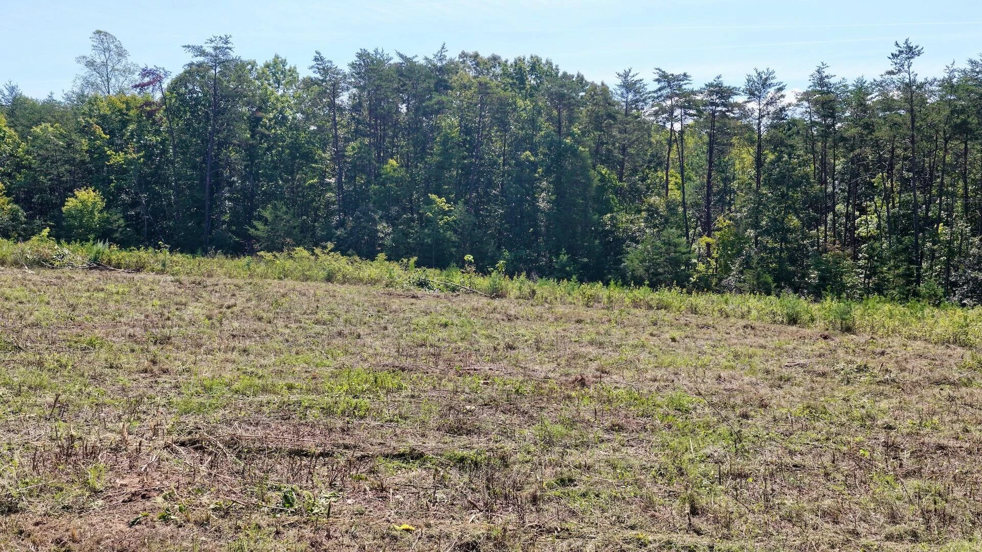 4136 Diamond Hill RD - Photo 9