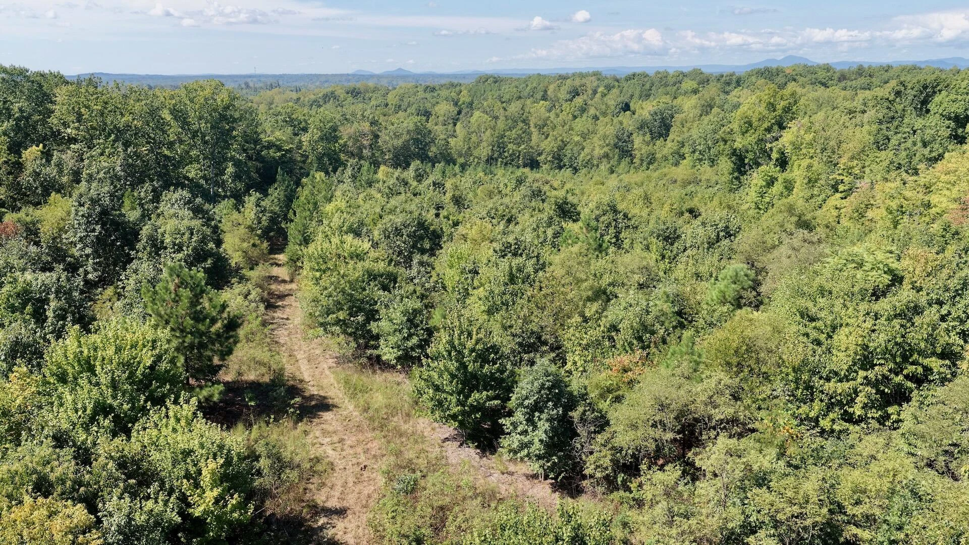 4136 Diamond Hill RD - Photo 10