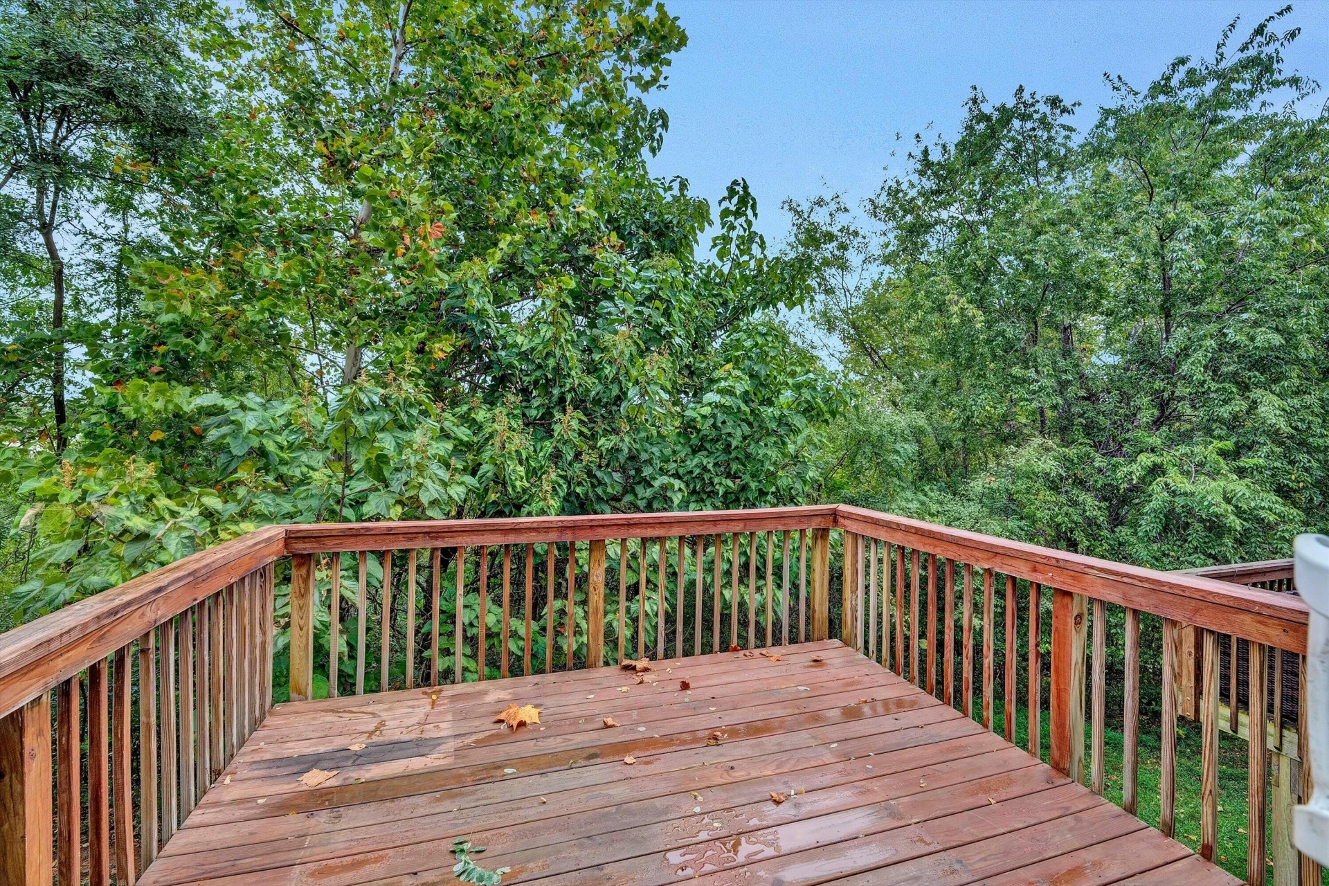 1224 Commonwealth CIR - Photo 15
