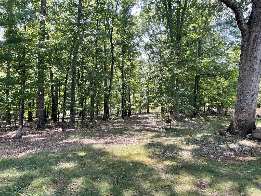1404 Old Indian TRL - Photo 5