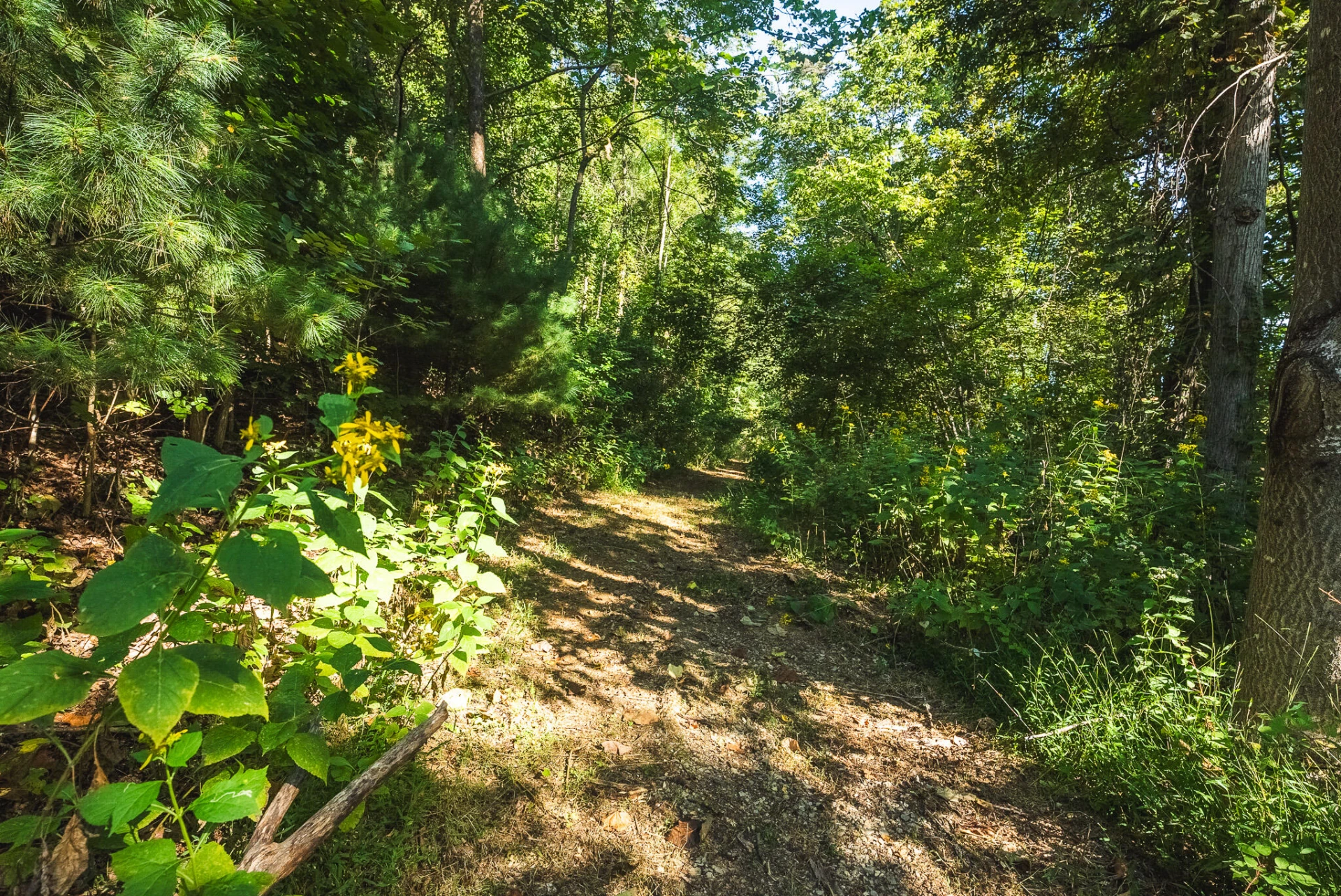 TBD Georges Run RD - Photo 40