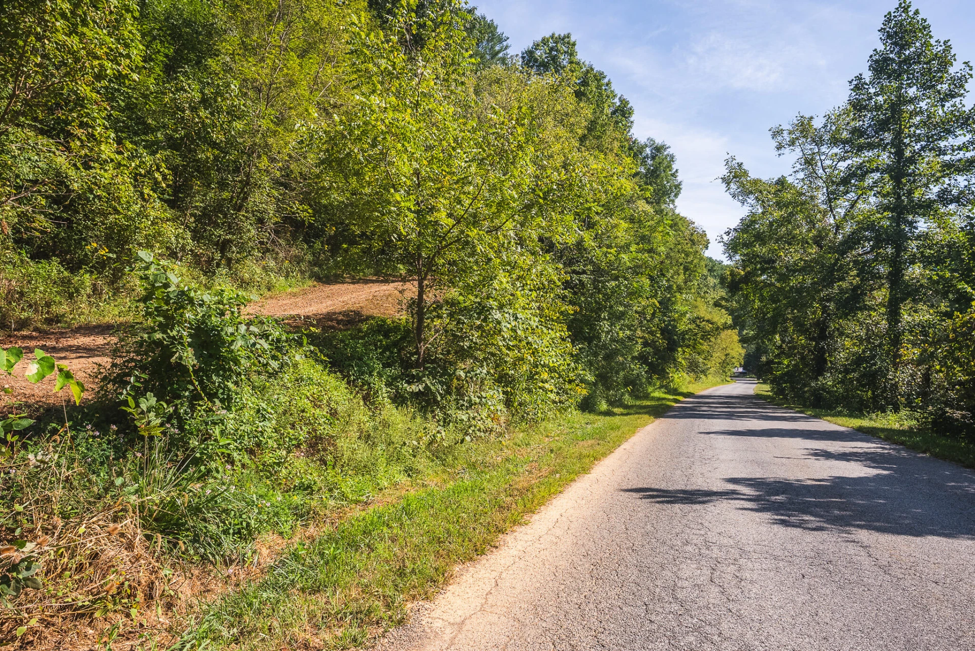 TBD Georges Run RD - Photo 43