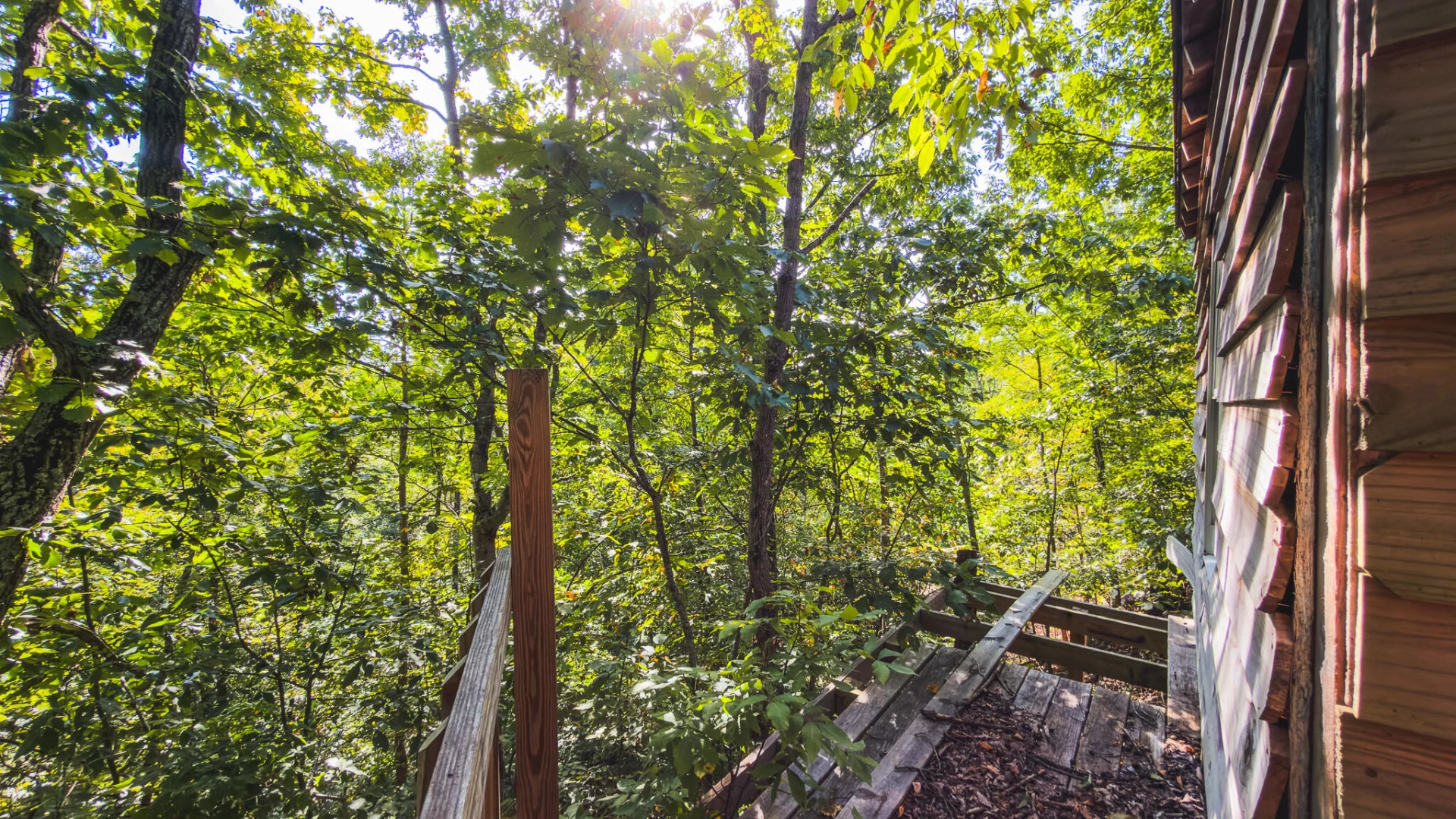 TBD Georges Run RD - Photo 45