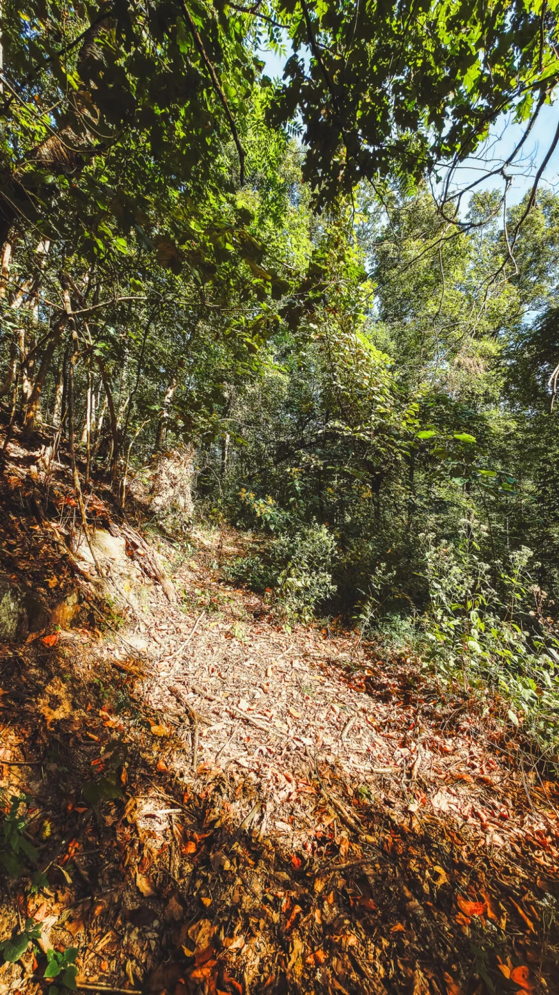 TBD Georges Run RD - Photo 49