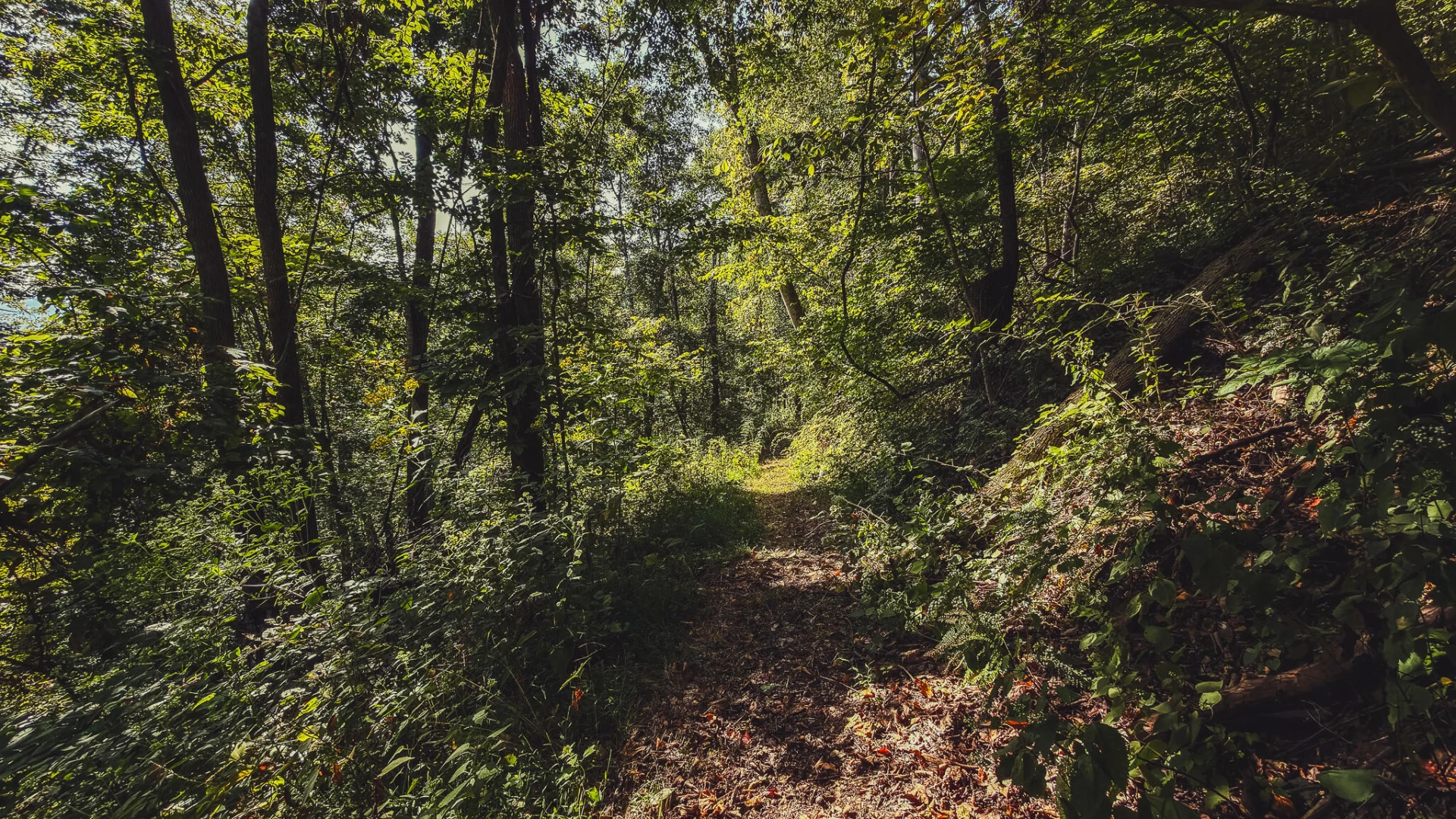 TBD Georges Run RD - Photo 50
