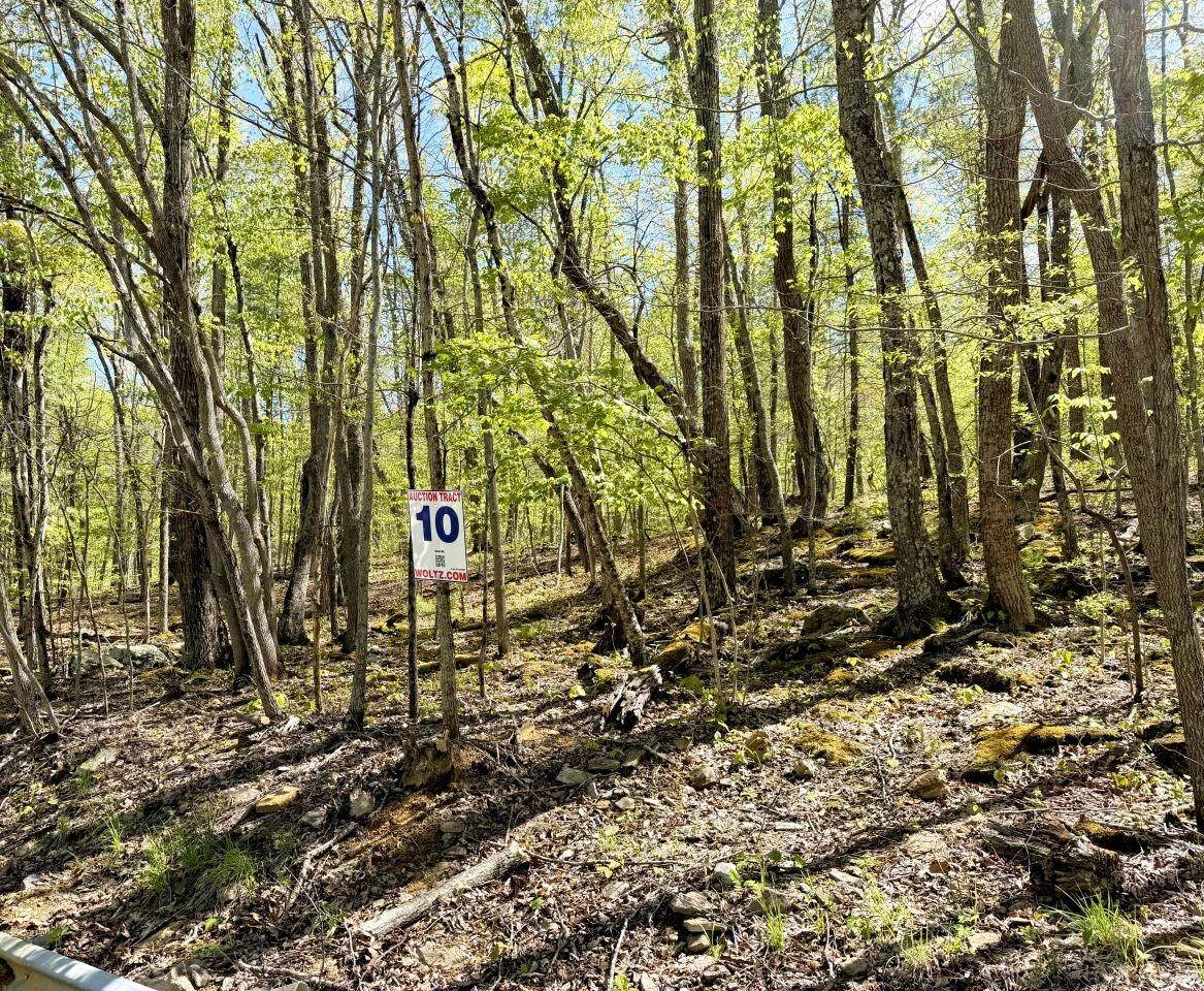 0 Iona RD - Photo 5
