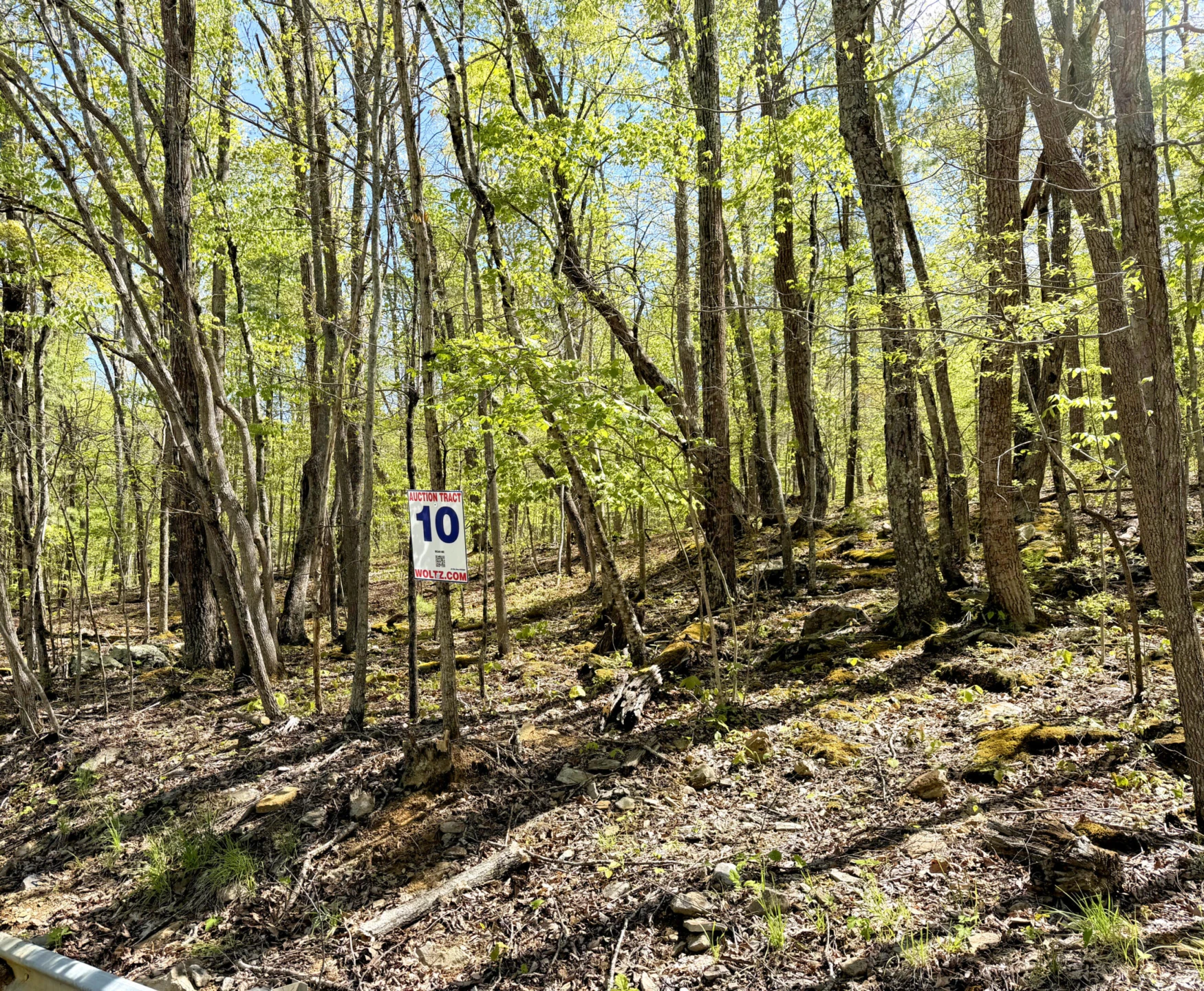 0 Iona RD - Photo 6