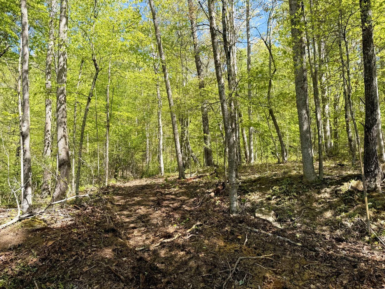 0 Iona RD - Photo 12