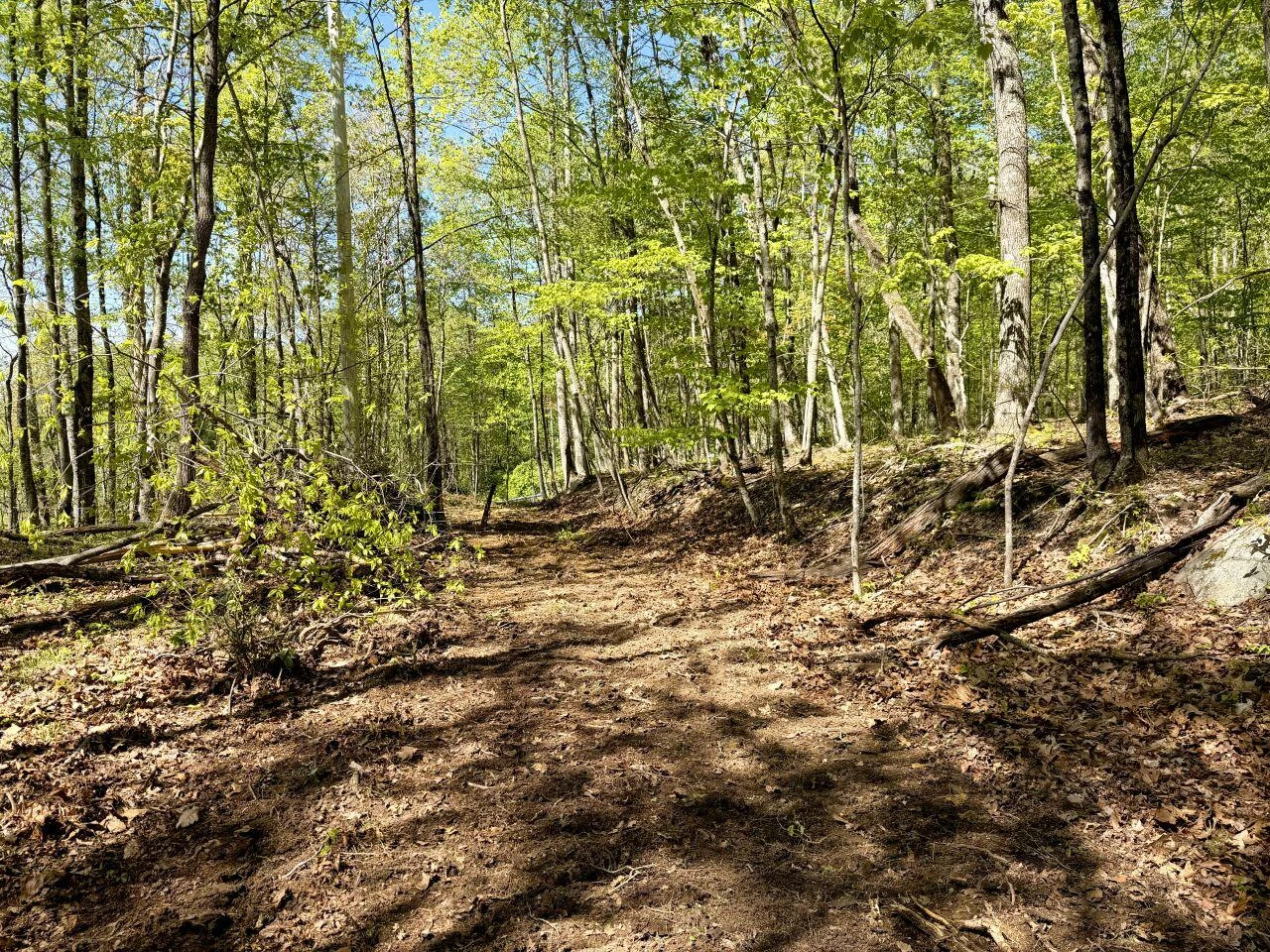 0 Iona RD - Photo 16