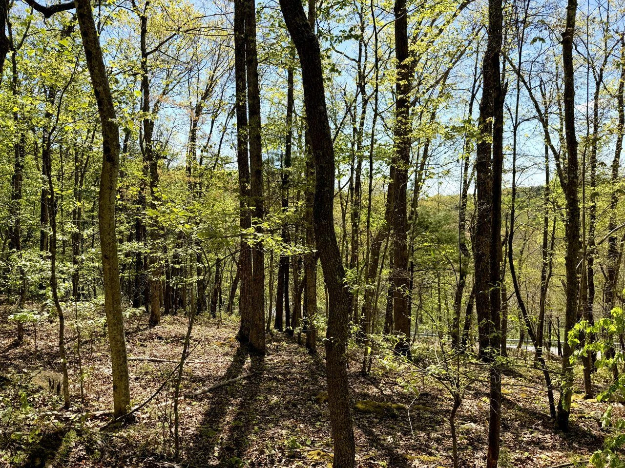 0 Iona RD - Photo 18