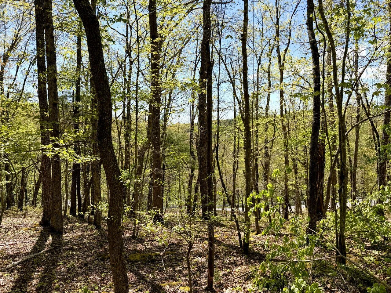 0 Iona RD - Photo 19