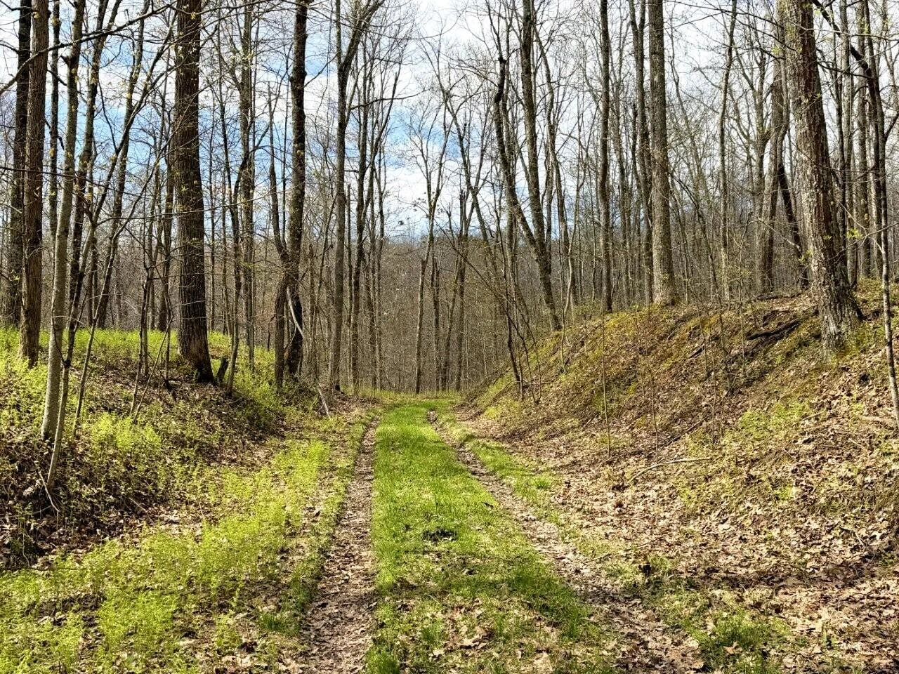 0 Iona RD - Photo 21