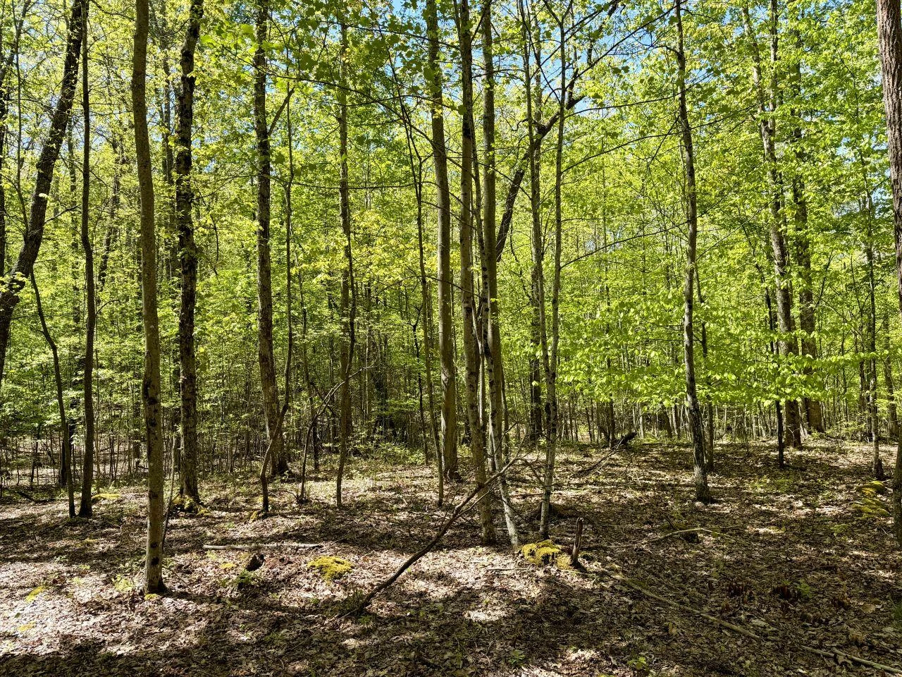 0 Iona RD - Photo 25
